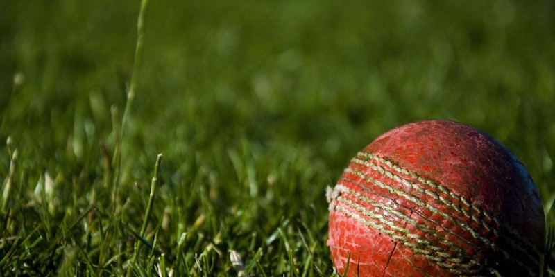 国际足联世界杯官方用球发布会 - 新款足球设计展示